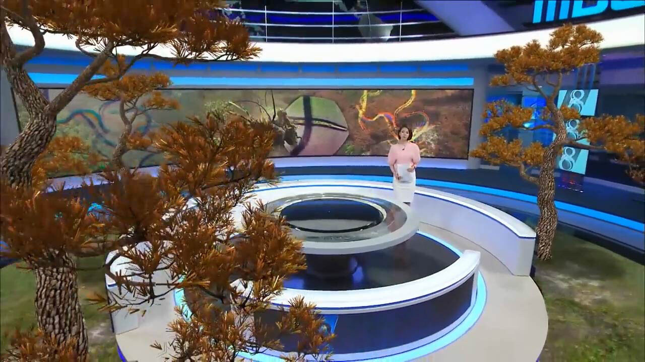 Virtual Sets