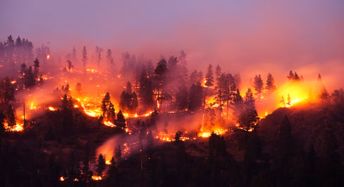 wildfires rage at night