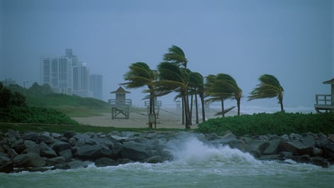 Hurricane with damaging winds hitting the coast.