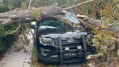 Tree that fell onto a police car in Massachusetts during Hurricane Lee