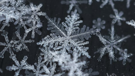 Magnified snowflake