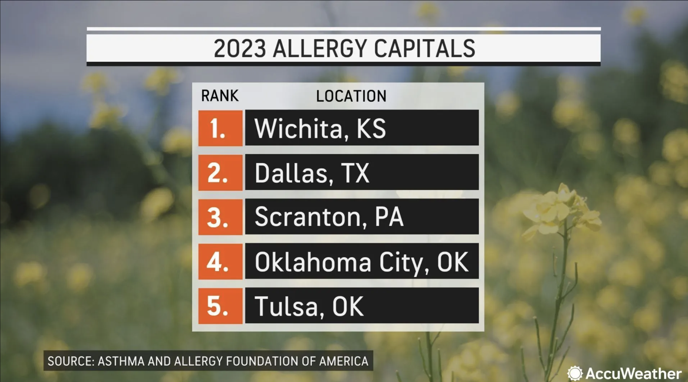 allergy capitals