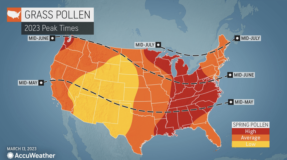 Why the pollen forecast matters to your business