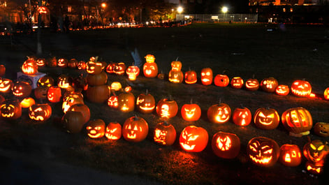 pumpkins in rain