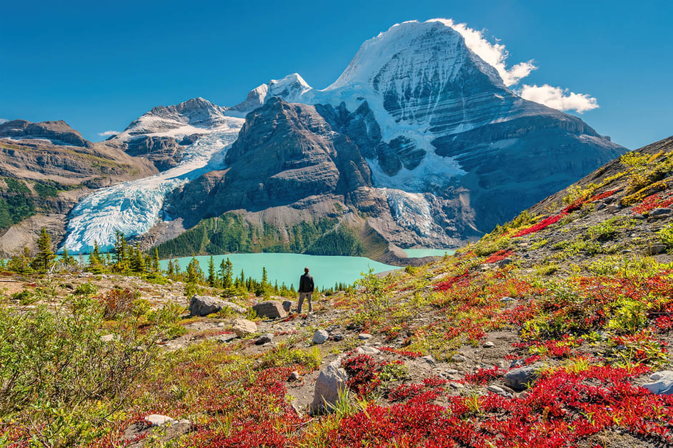 mountain with lake and flowers in Canada