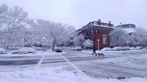 AccuWeather prepares businesses for dangerous nor’easter months in advance with the most accurate forecasts